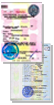 PTS-svidetelstvo-registracii-transportnogo-sredstva.png PTS-svidetelstvo-registracii-transportnogo-sredstva.png